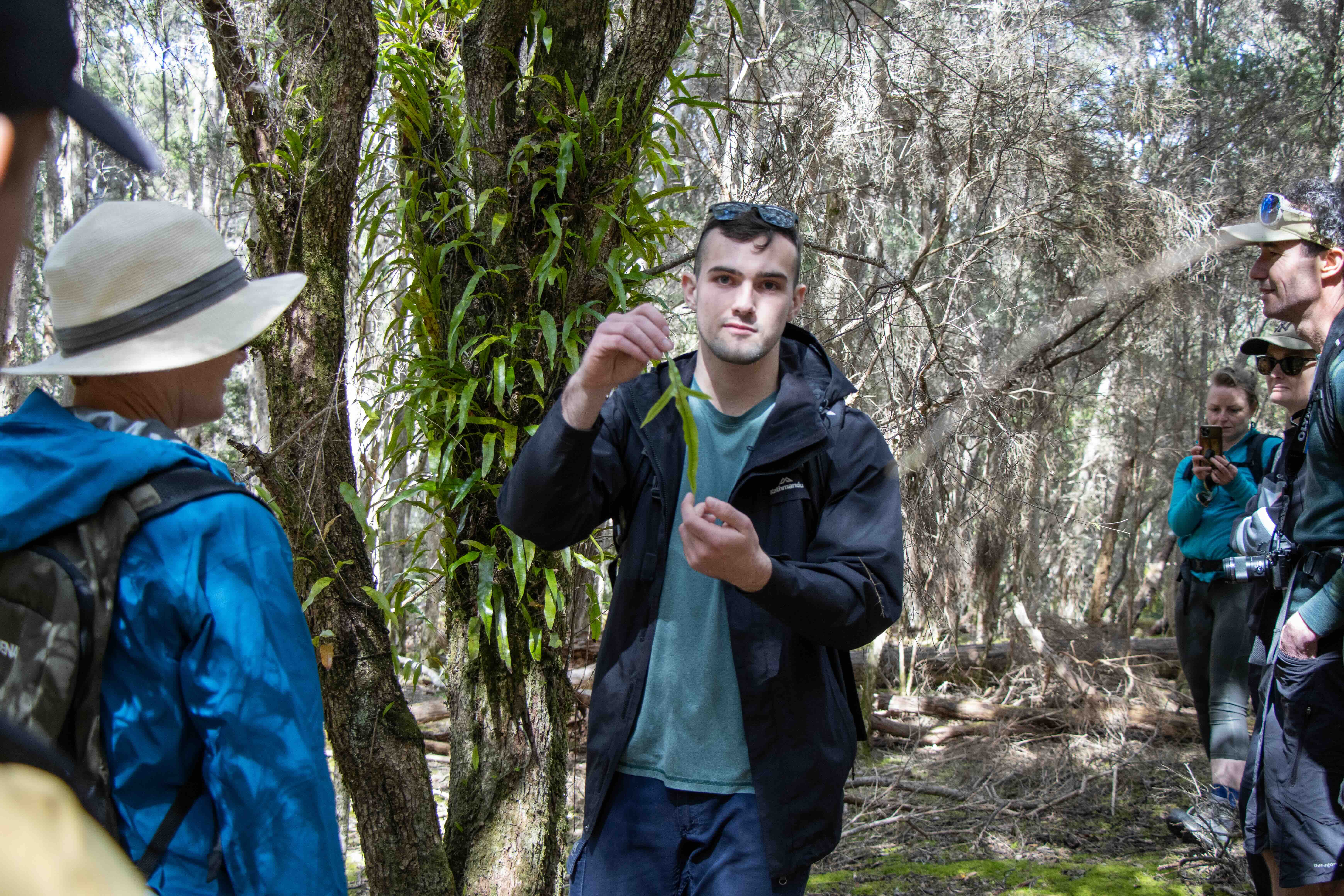 A man holding and showing a green leaf to a group of people in a forest.