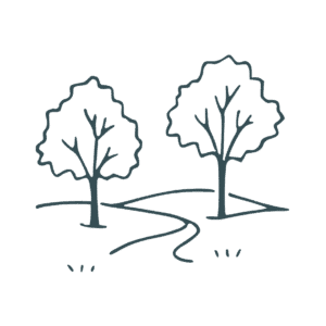 Outline illustration of two trees with a winding path between them.