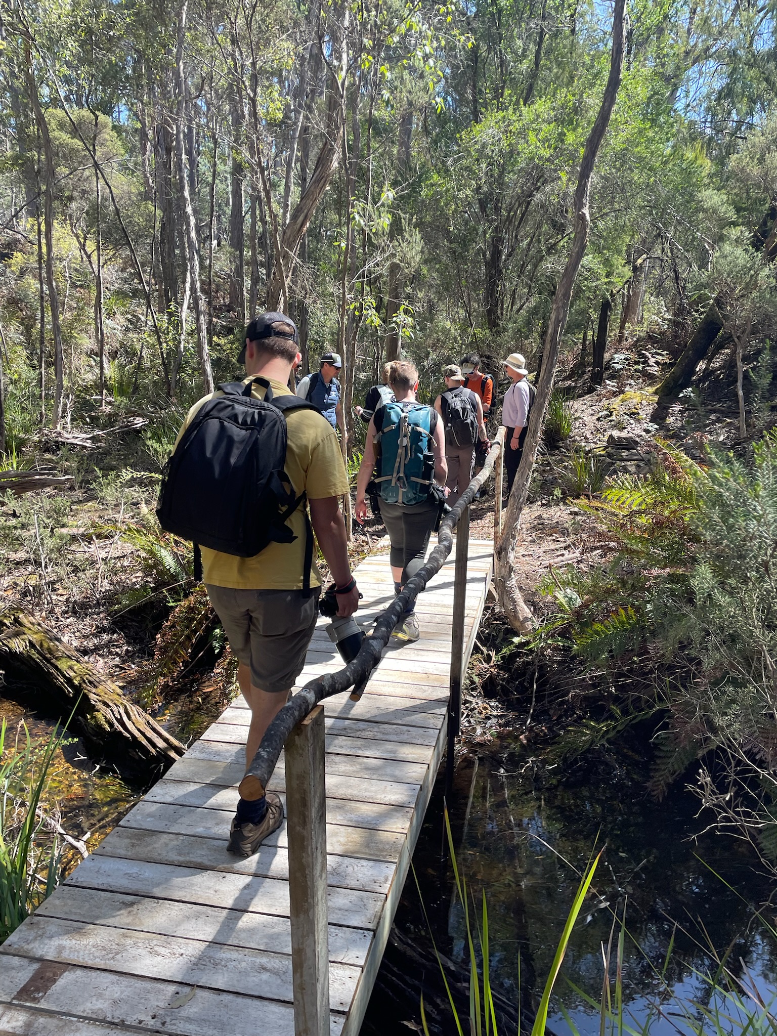 Group of people hiking on a wooden bridge in a sunlit forested area with backpacks.