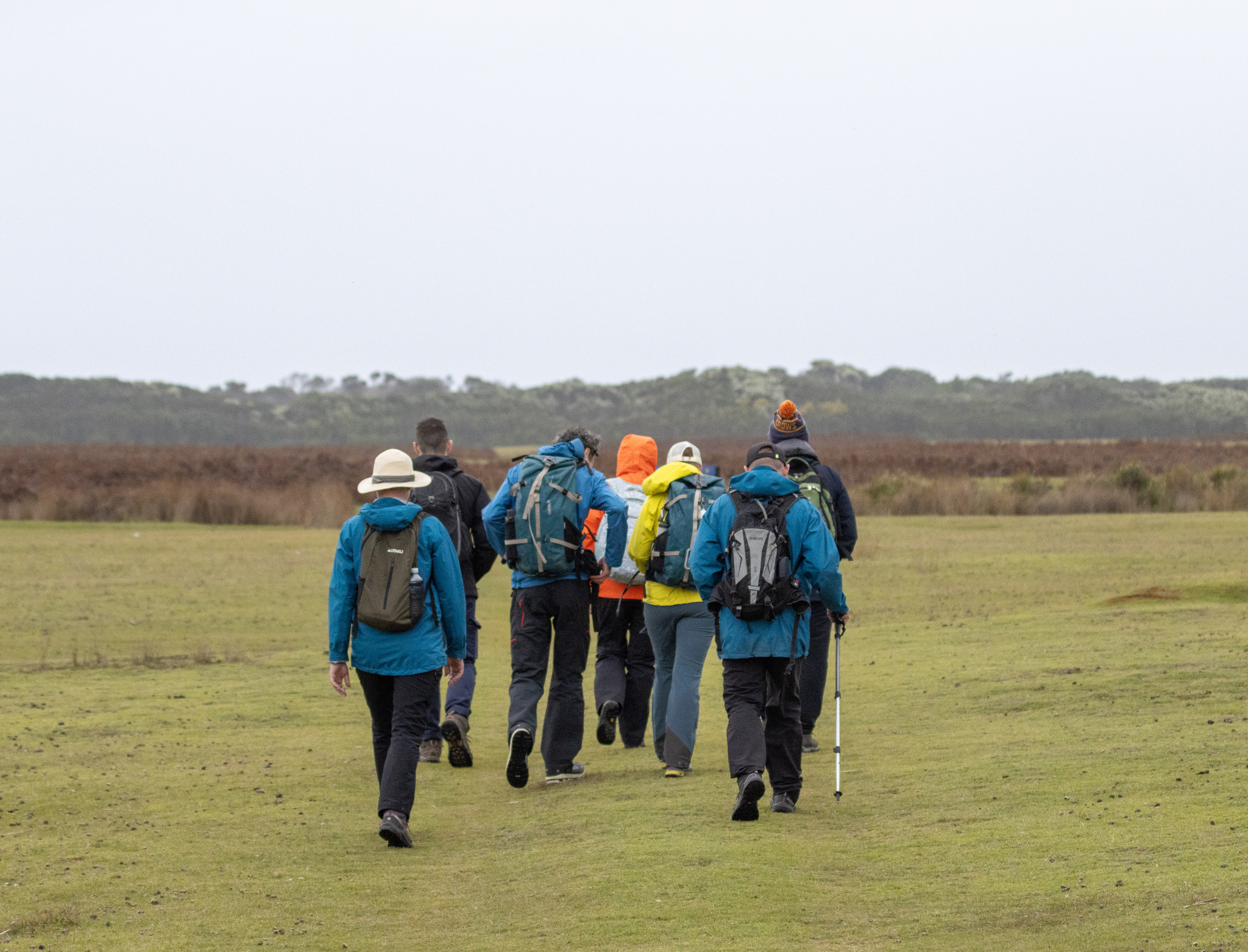 Group of seven hikers wearing backpacks walking on grassy field away from the camera under overcast sky.