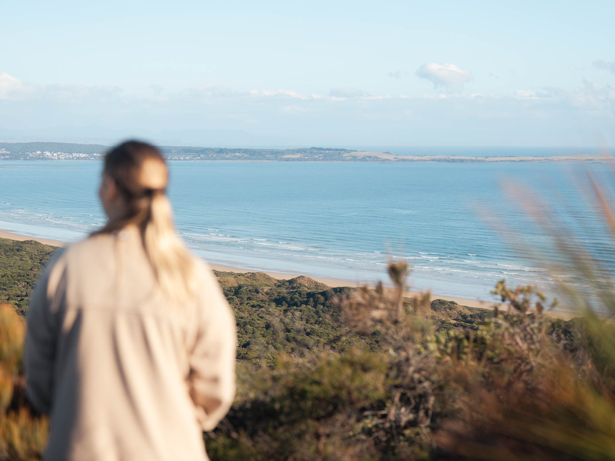 Person with long hair tied back overlooking a coastal landscape with green vegetation and calm ocean waves under a blue sky.
